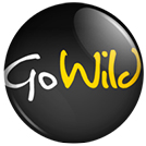 GoWild Casino Review small