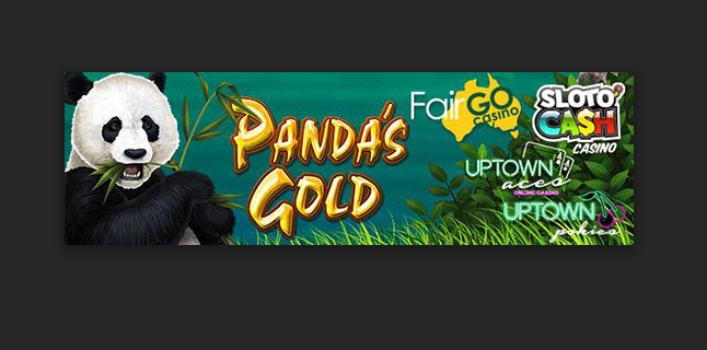 panda's gold with a bonus