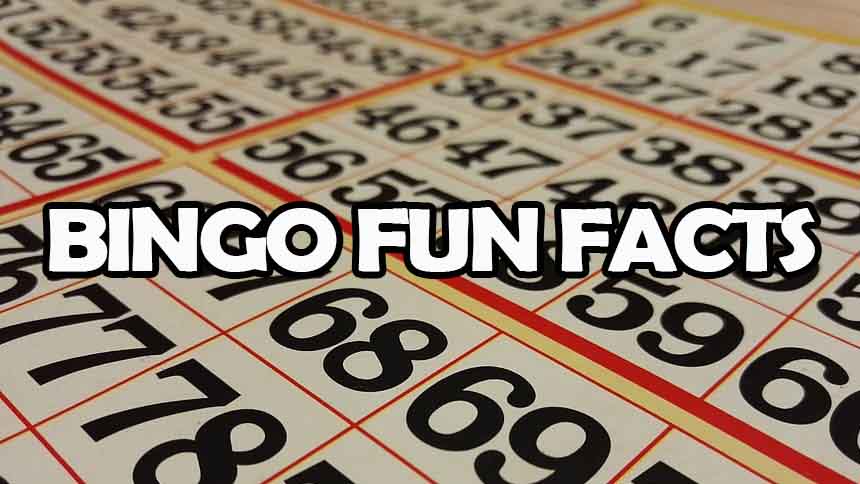 Bingo Fun Facts headline on bingo card