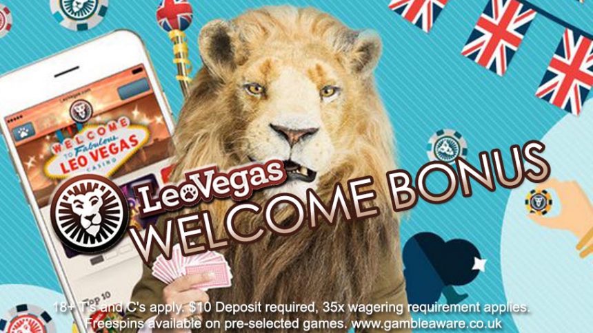 bet casino bonus